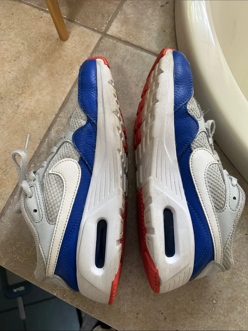Nike Air Max sneakers